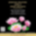 Spiritual Solution Level 5 - Redikall Money & Maya - RSVP