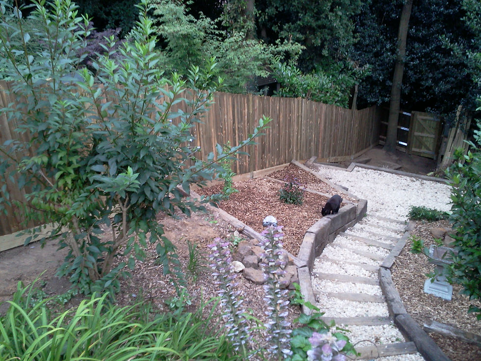 Garden Clearance and Revival