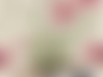 3 Reasons Why You Should Write for The Fictional Seedling