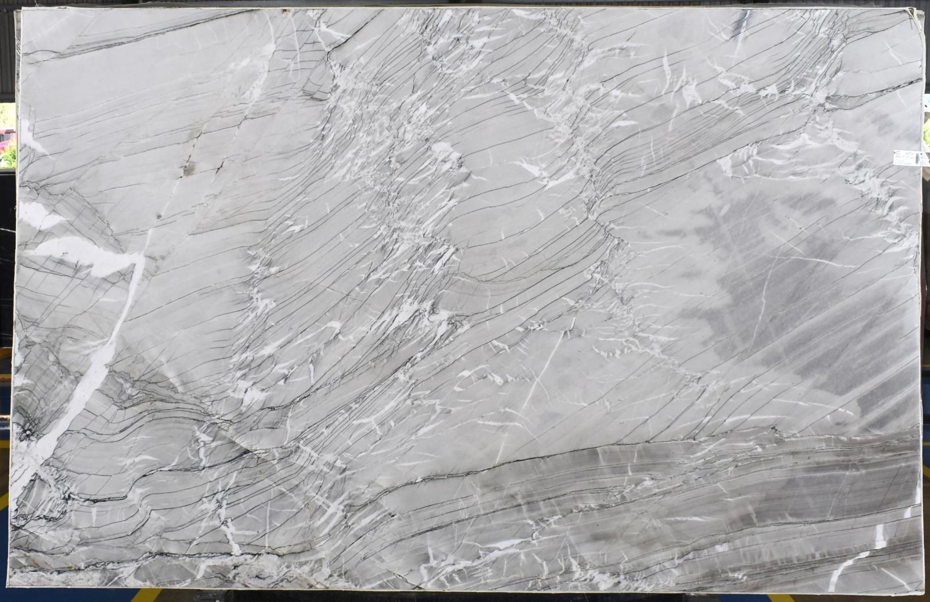 Paloma 1 | Quartzite