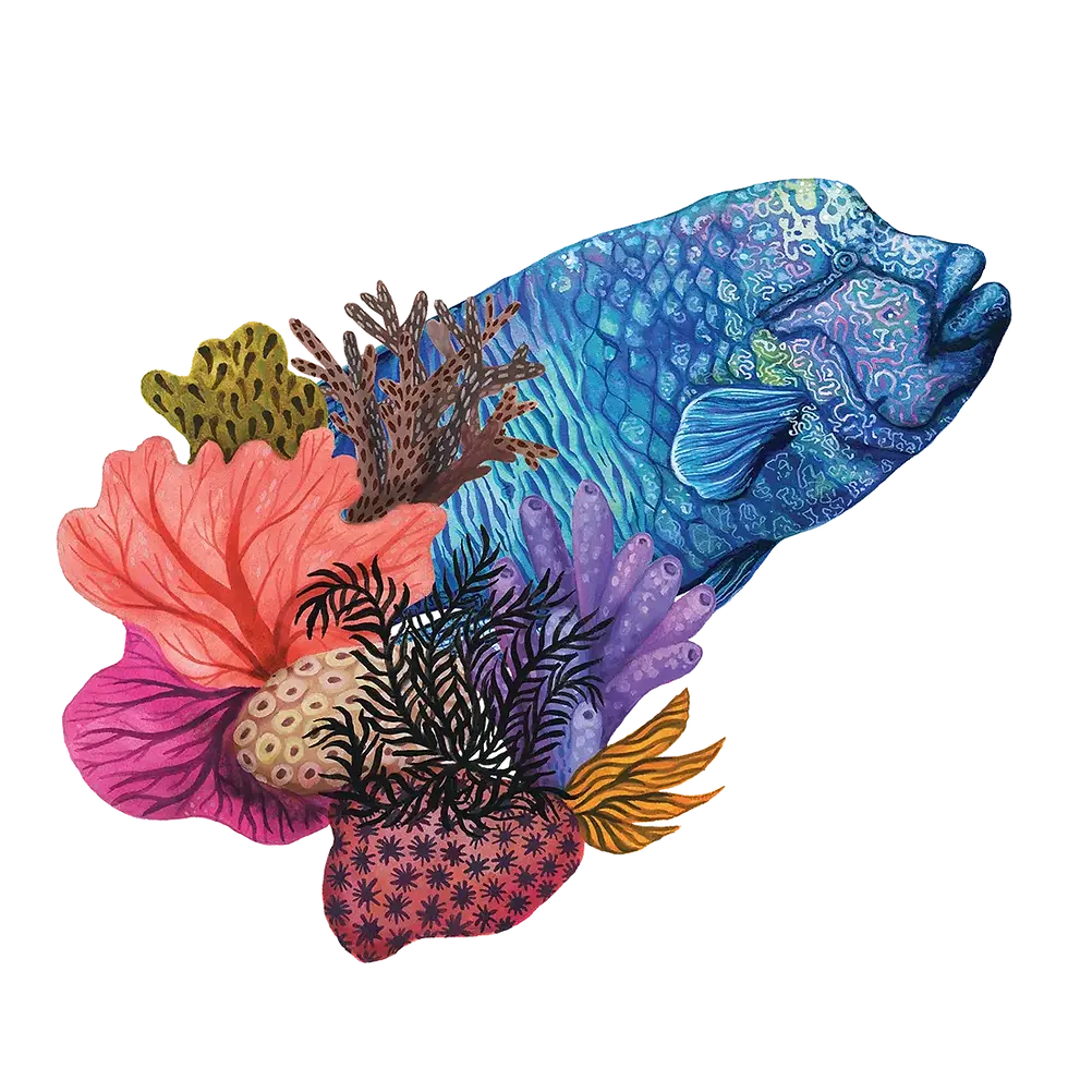 fish_coral.webp