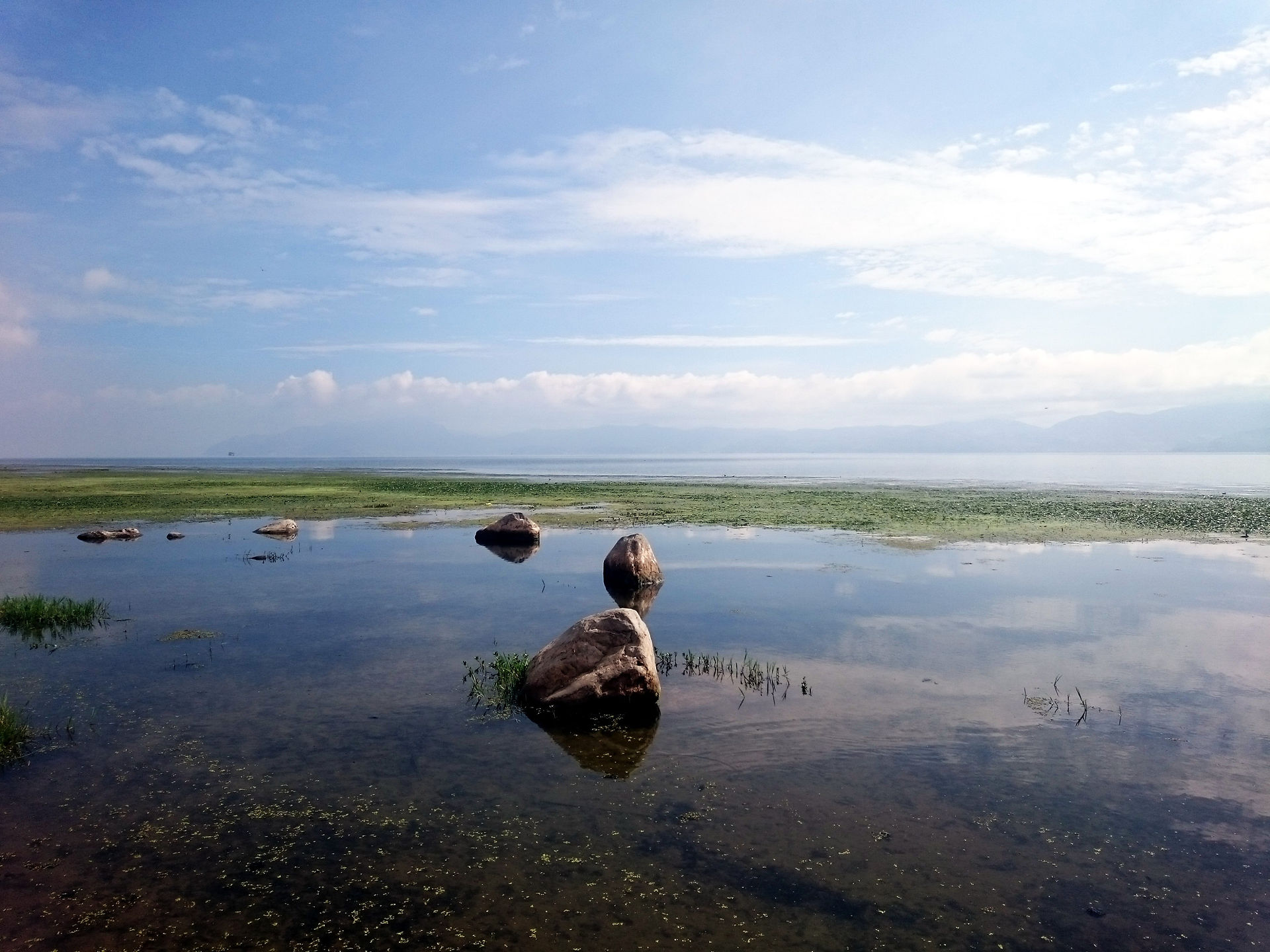洱海月