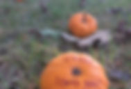 Jesus loves you pumpkin