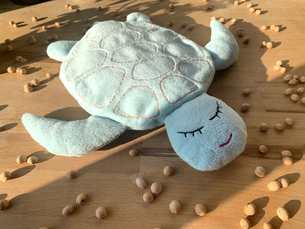 Une bouillotte sèche en forme de tortue se repose sur un lit de n