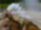 Screenshot 2024-08-31 at 19.25.11.png