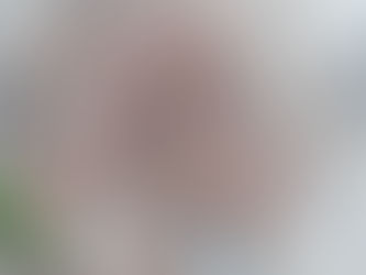 O humano tecelão de símbolos: uma reflexão metalinguística