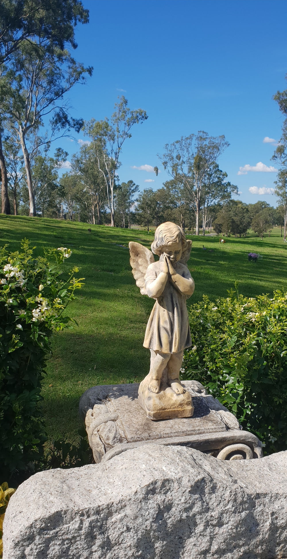 Praying angel statue in a Sydney memorial garden.