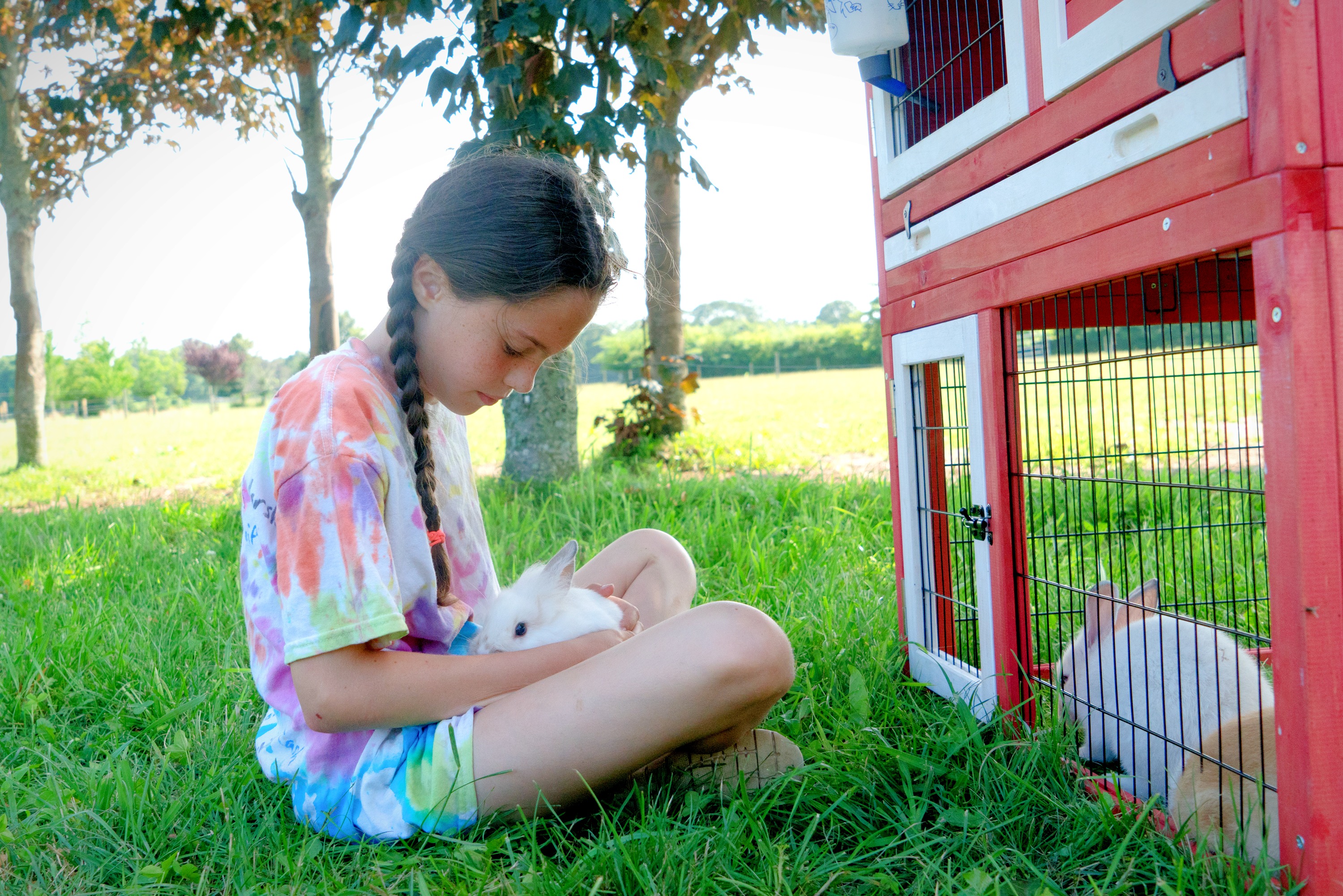 The Little Red Barn 4
