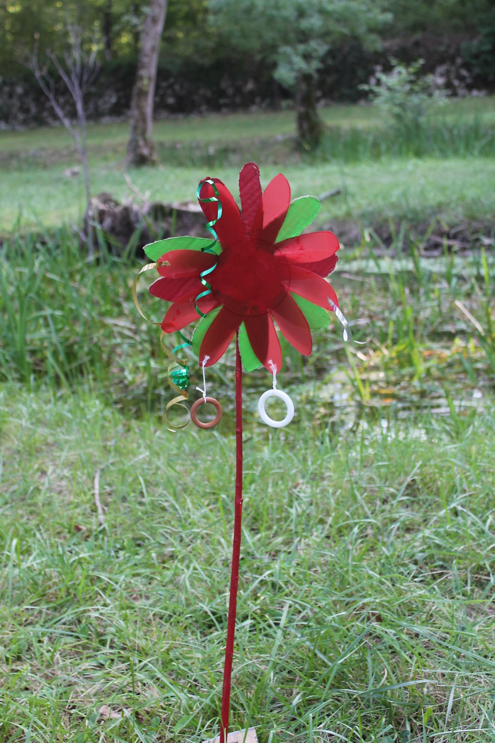 IMG_1946 [1600x1200].JPG