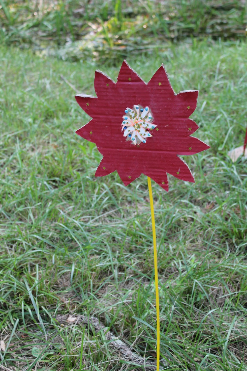 IMG_1949 [1600x1200].JPG