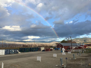 Financial Review 2017