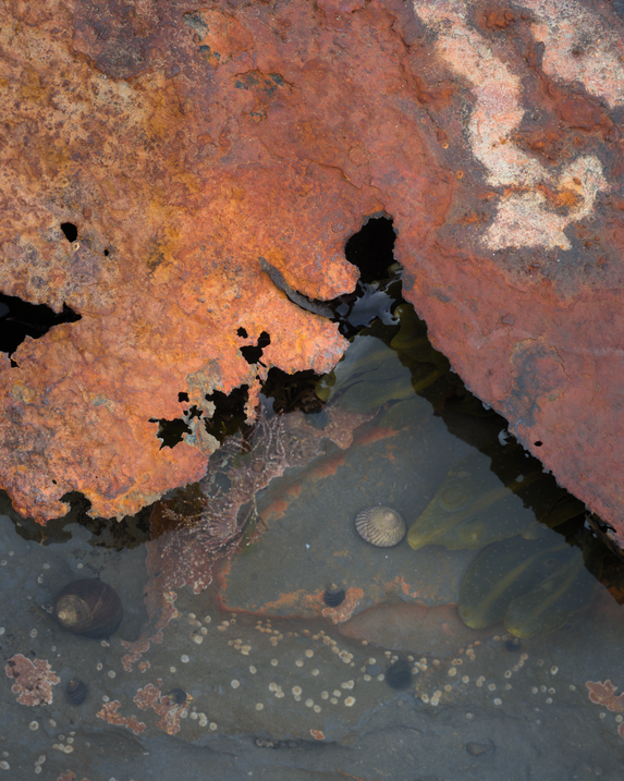 GFX100S-22-05-30-9-24 AM-_DSF5791-0-rhb 1.png