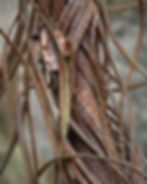 The Processes of Time