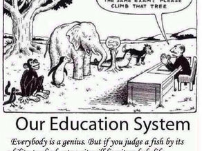 חגיגה של שונות