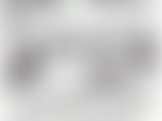 חגיגה של שונות