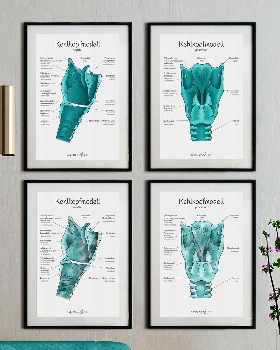 Miniaturbild: Das Kehlkopf-Poster Set, Watercolor & Regular (4 Poster)