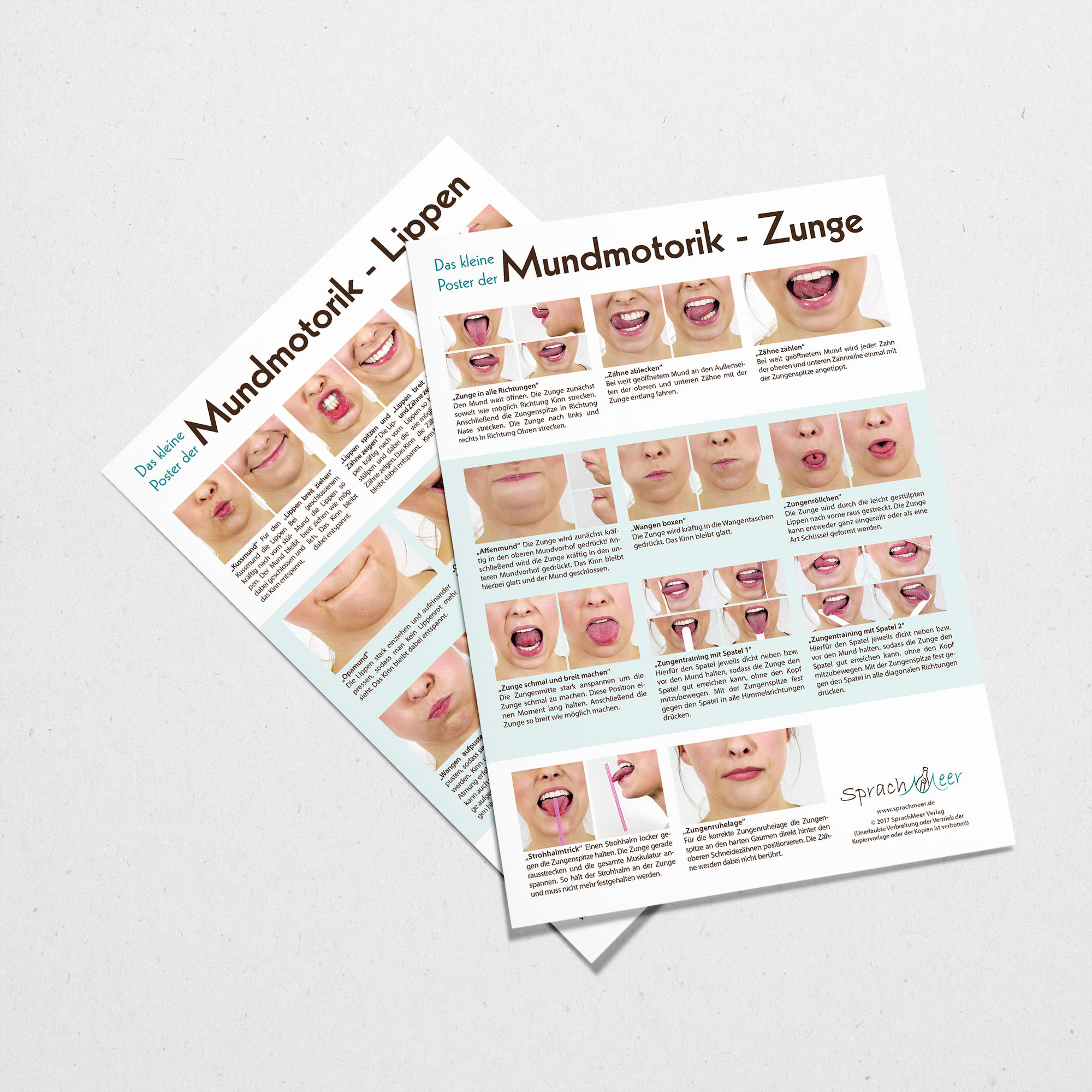 Das kleine Poster der Mundmotorik