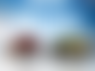 Start Smart with Exclusive Benefits on the Skoda Kylaq – Available at the Best EVM Skoda