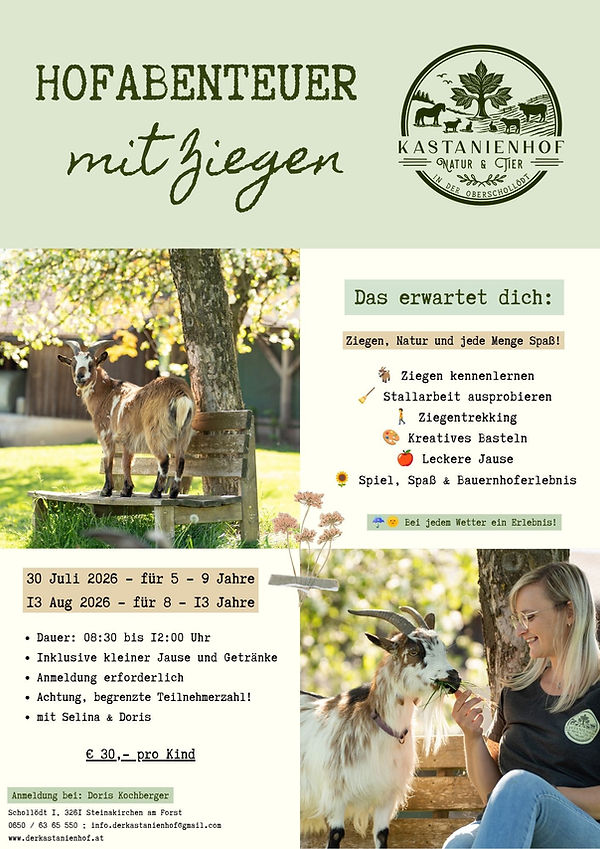 Ferienprogramm (1).jpg