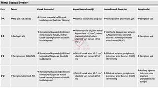 Mitral Darlık 