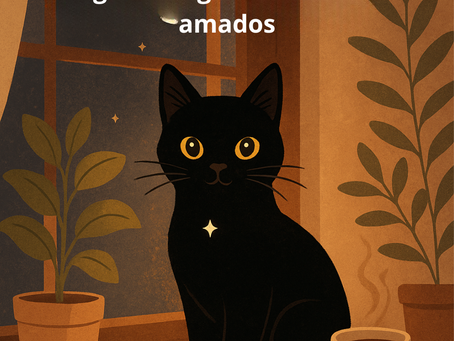 🖤 ¿Gatos negros: desafortunados o simplemente incomprendidos?