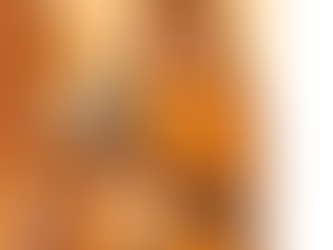 🐾 ¿Los gatos son realmente independientes? Desmontemos el mito