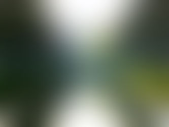 A Bridge to Well-Being: Bridge Employment & Aging