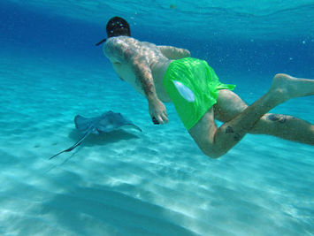 Swimming with Stingrays ... Really.