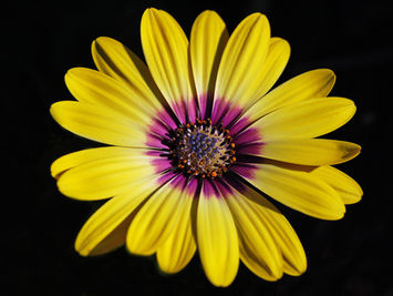 COLOR(S) and LIGHT!