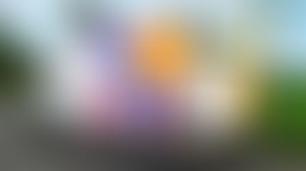 Freedom Fibre reaches new connection milestone