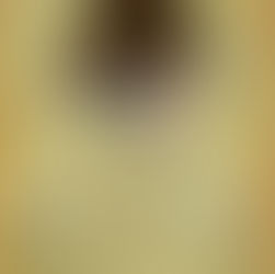 Festival Satya Nagari