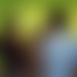 Proyek Seni Perupa Perempuan: Wani Ditata Project