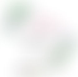 Muslim Fashion Street