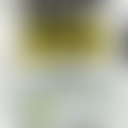 5 Seconds of Summer Live in Jakarta "Sounds Live Feels Live"