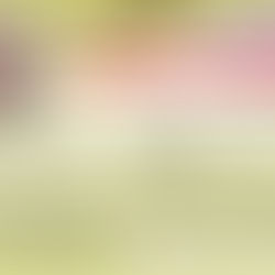 Writing Workshop “Introduction to Media Writing” by Mark Richardson