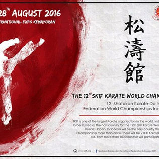 The 12th SKIF Karate World Championship