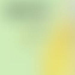 Kerohanian Fair 2016