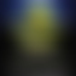 Shrek The Musical 2016