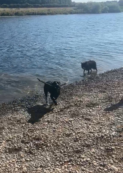 View recent photos (1).jpeg