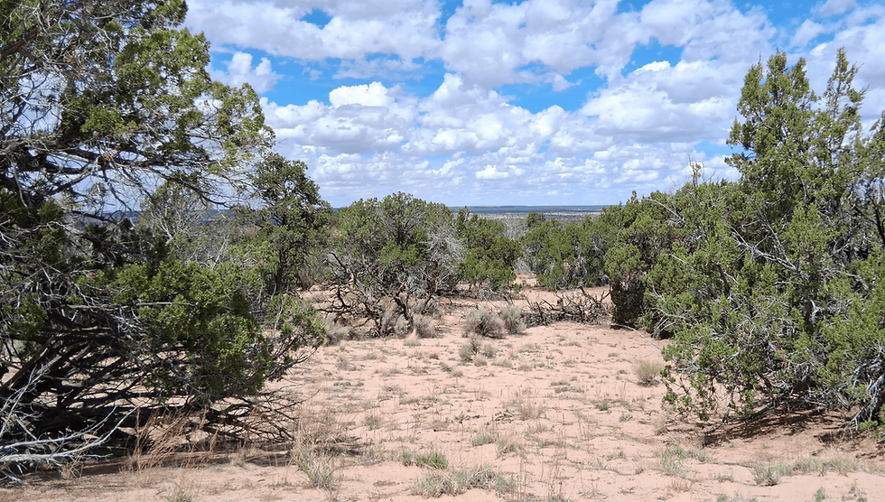 Thumbnail: 2.73 Acres - St. Johns, Apache Co, AZ 85936