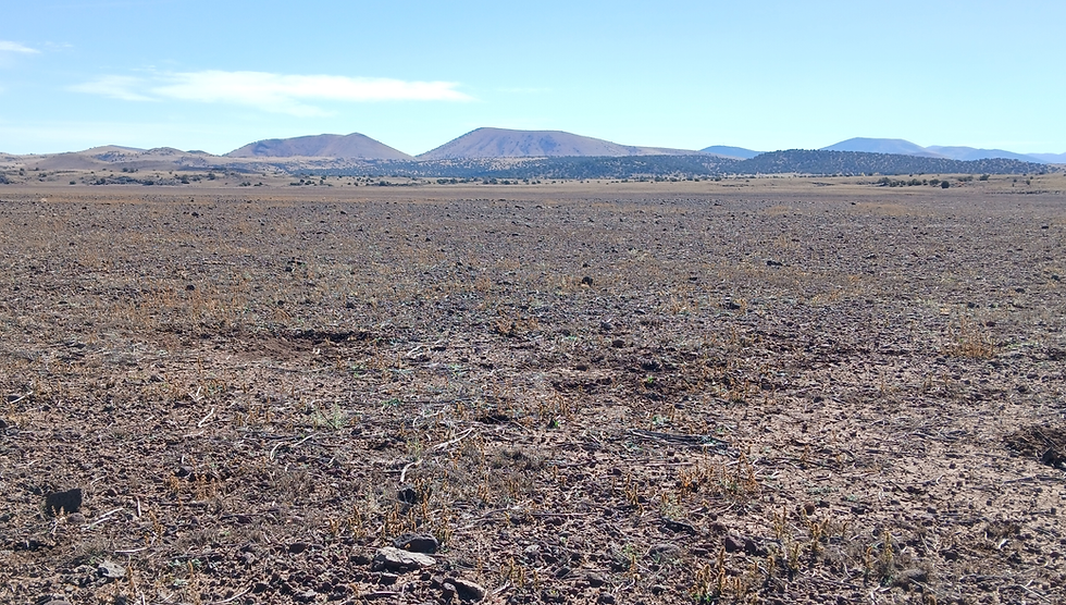 Thumbnail: 2.52 Acres - Concho, Apache Co, AZ 85924