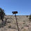 Thumbnail: 1 Acre - Sanders, Apache Co, AZ 86512