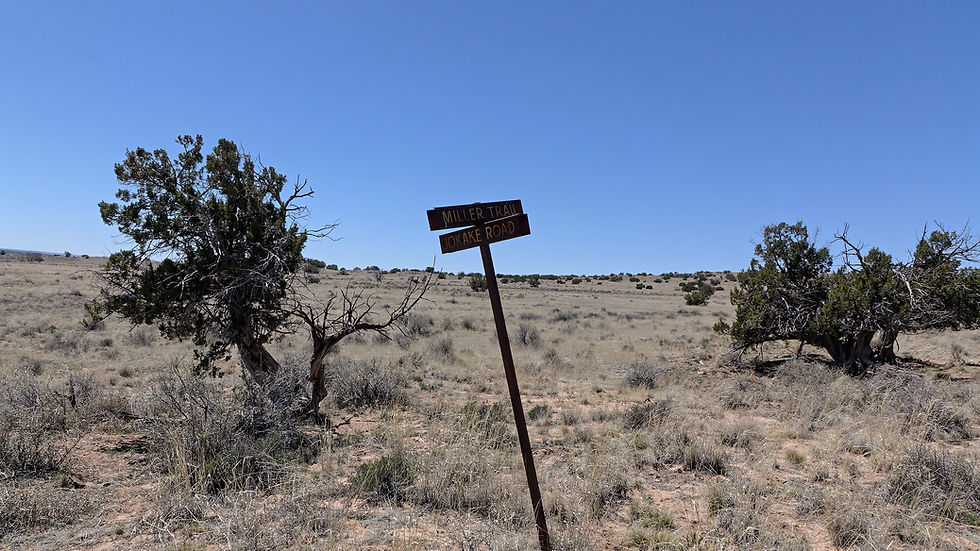 Thumbnail: 1 Acre - Sanders, Apache Co, AZ 86512