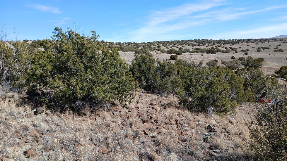 Thumbnail: 1.04 Acre - Concho, Apache Co, AZ 85924