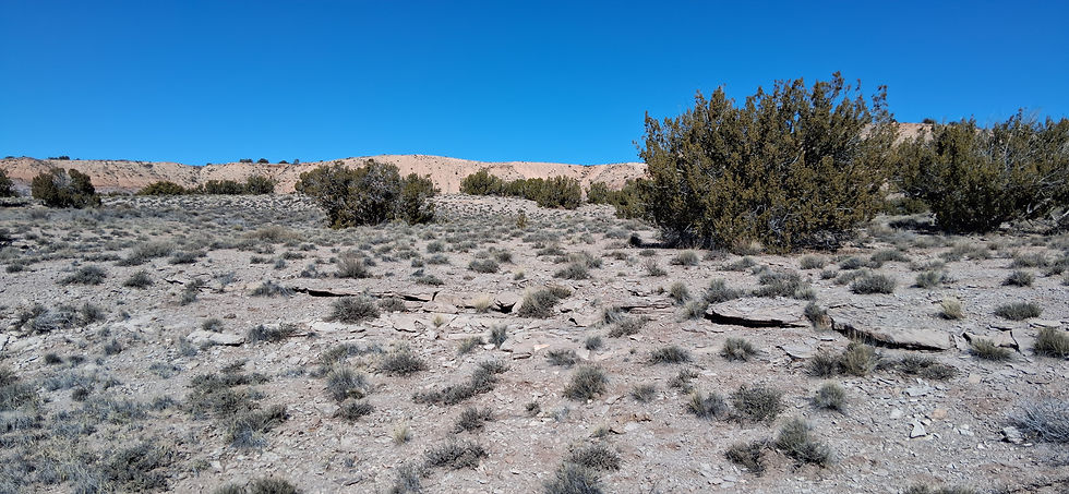 Thumbnail: 1 Acre - Sanders, Apache Co, AZ 86512