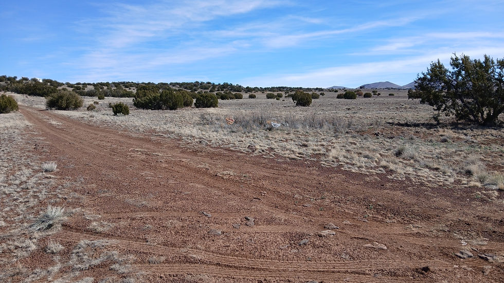 Thumbnail: 1.04 Acre - Concho, Apache Co, AZ 85924