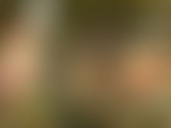 LA DISTRUZIONE DI NARCISO