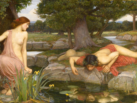 LA DISTRUZIONE DI NARCISO