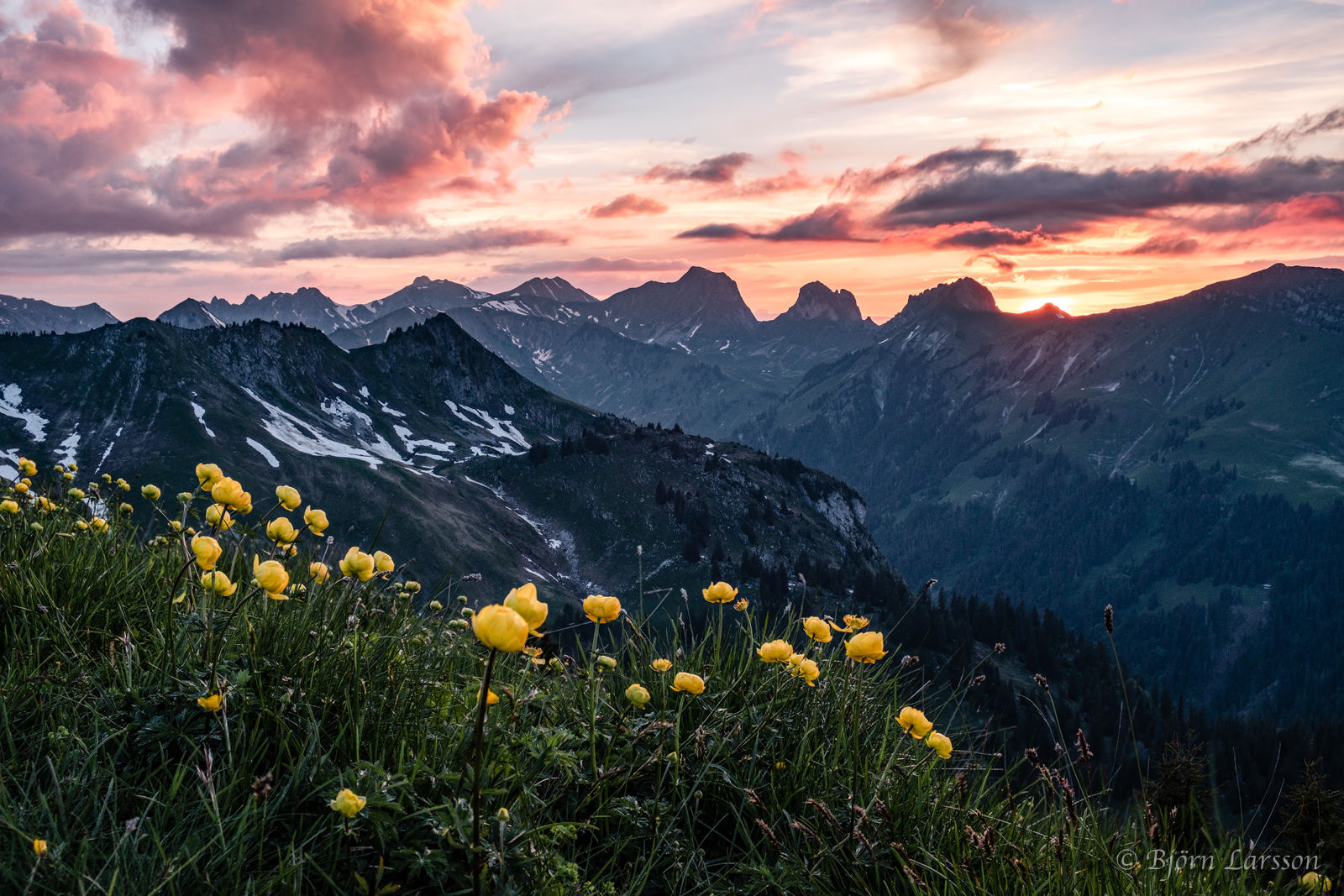 Swiss Sunset, Cheibehore