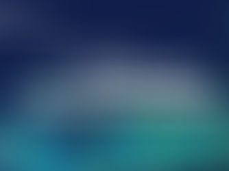 SPD Japan 第1回株主総会